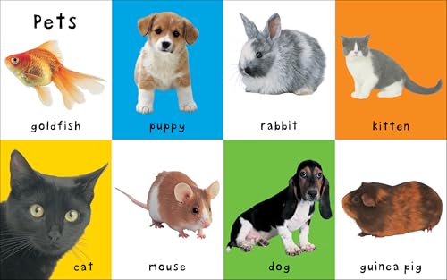 FIRST 100 ANIMALS(BB) (First 100 Soft to Touch)