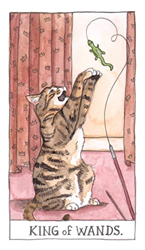 Cat Tarot: 78 Cards & Guidebook