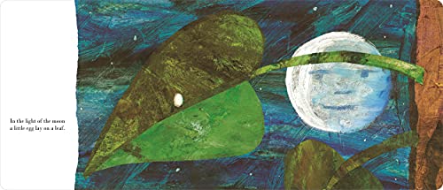 The Very Hungry Caterpillar (Big Board Book)