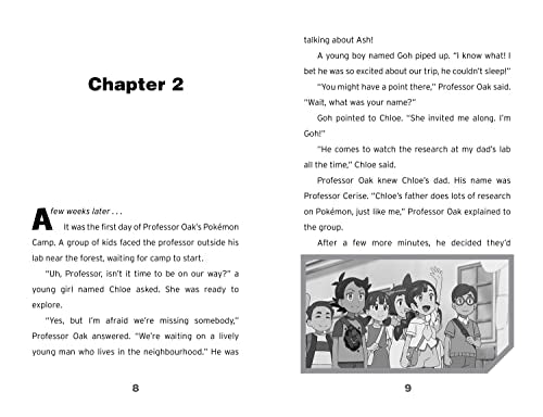 Pokémon: A New Beginning Chapter Book