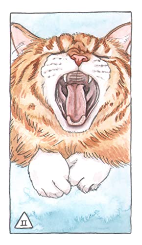 Cat Tarot: 78 Cards & Guidebook