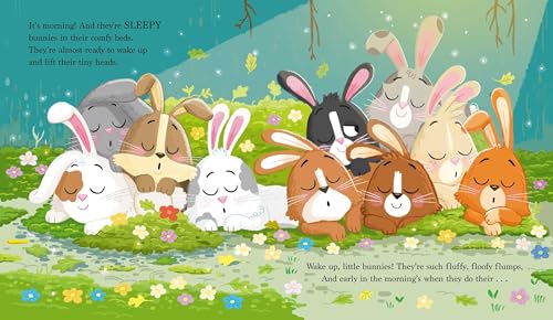 Bouncing Bunnies