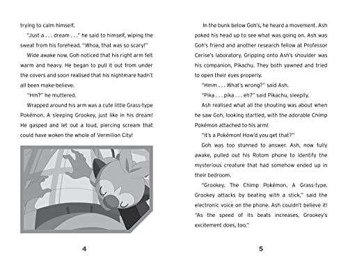 Pokémon: A New Companion Chapter Book