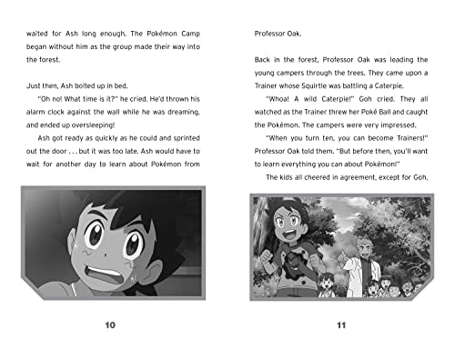 Pokémon: A New Beginning Chapter Book