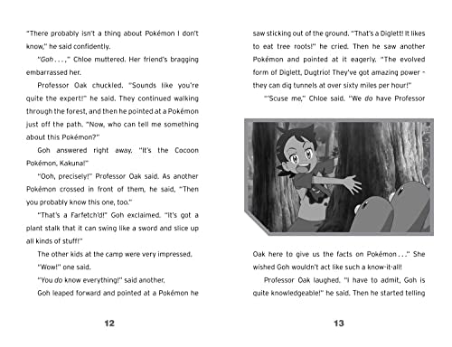 Pokémon: A New Beginning Chapter Book