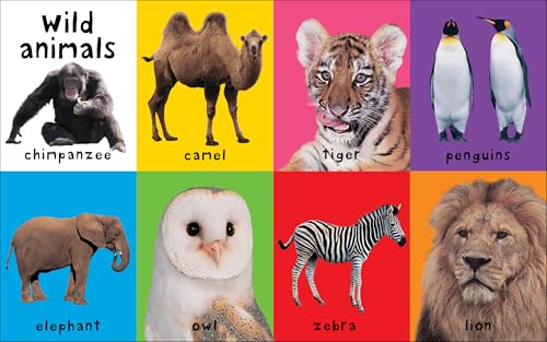 FIRST 100 ANIMALS(BB) (First 100 Soft to Touch)