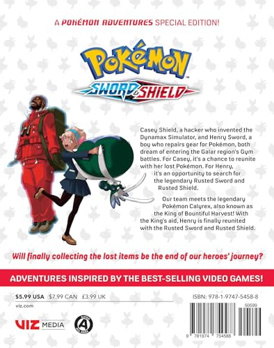 Pokémon: Sword & Shield, Vol. 13