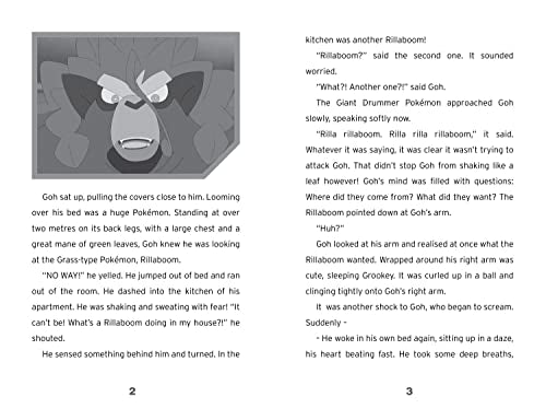 Pokémon: A New Companion Chapter Book