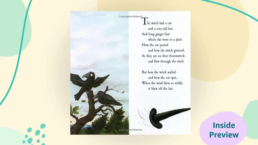 Room on the Broom (Picture Puffins)